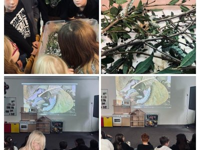 Návštěva u Motýlků